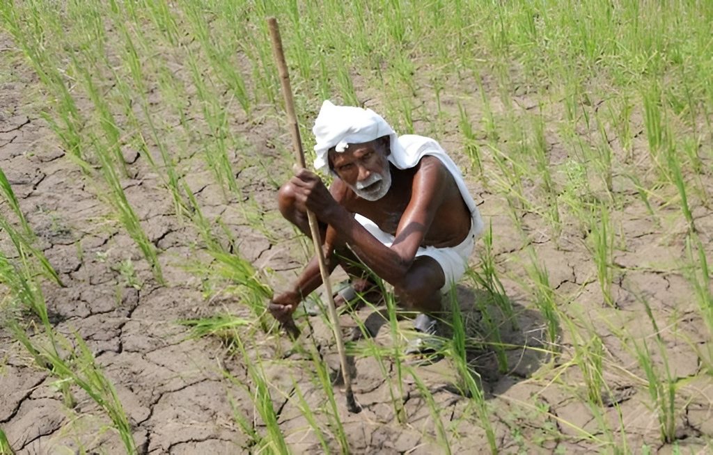 Kallakurichi Faces Rainfall Deficit and Water Concerns na2 picsart aiimageenhancer